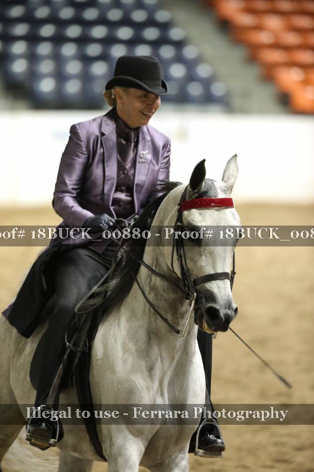 Proof 18BUCK_00880