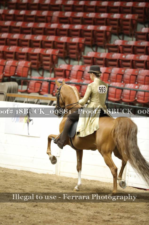 Proof 18BUCK_00881