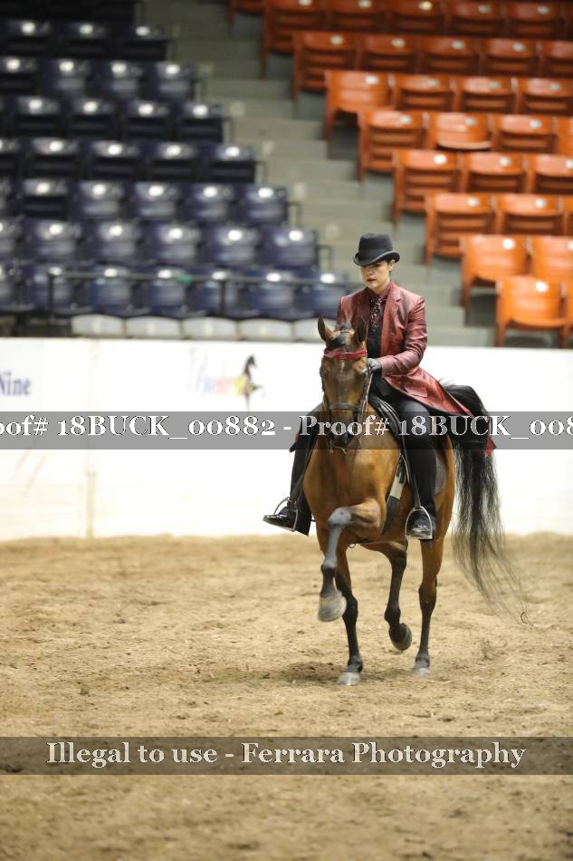 Proof 18BUCK_00882