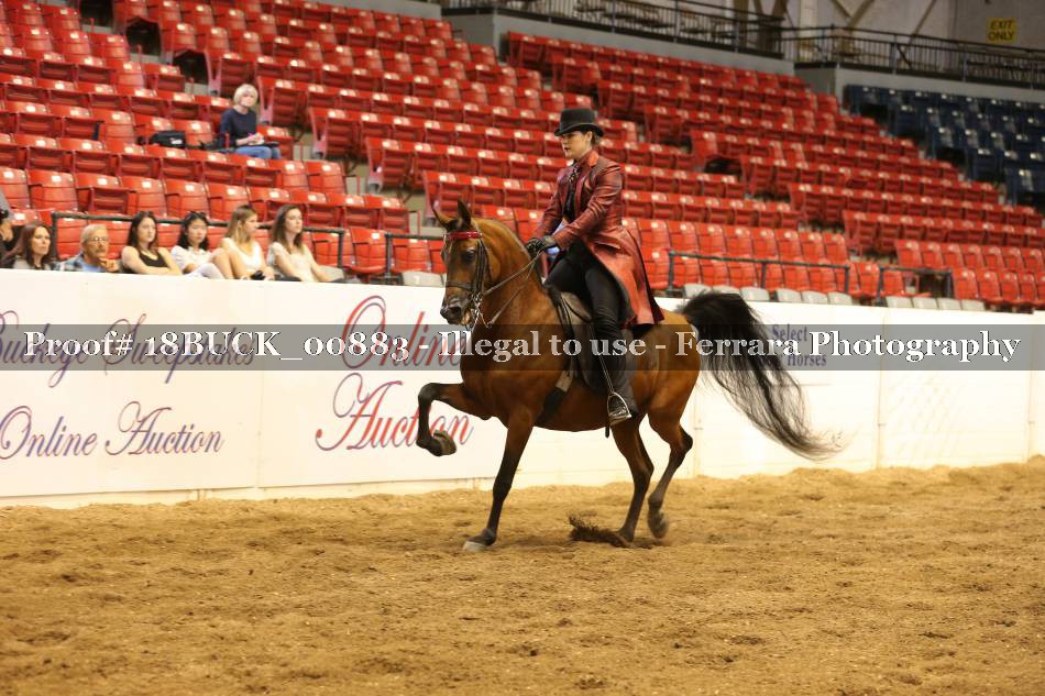 Proof 18BUCK_00883