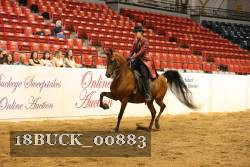 18BUCK_00883 proof