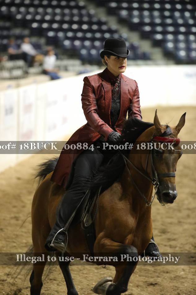Proof 18BUCK_00884