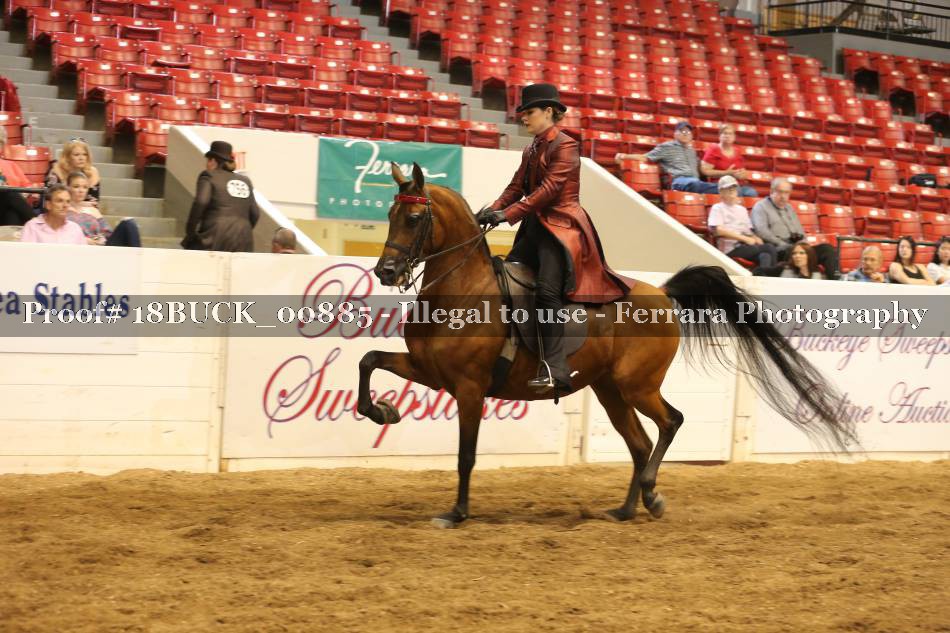 Proof 18BUCK_00885