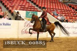 18BUCK_00885 proof