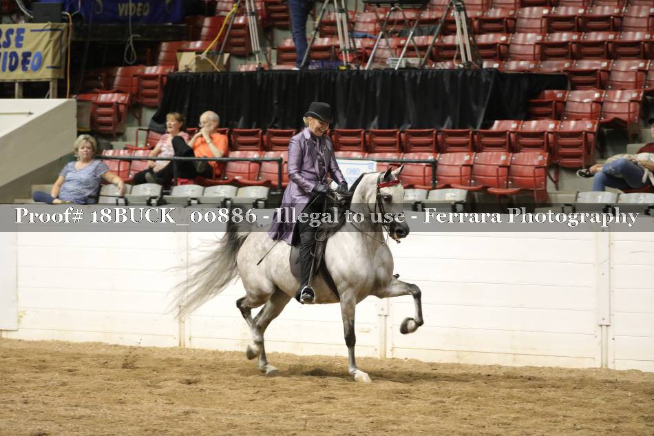 Proof 18BUCK_00886