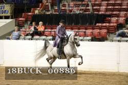 18BUCK_00886 proof