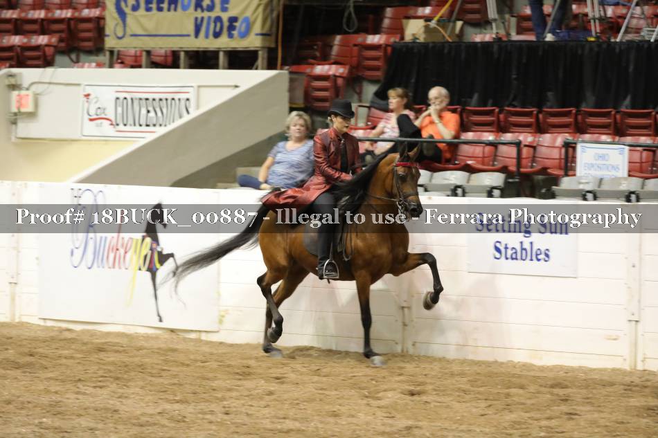 Proof 18BUCK_00887