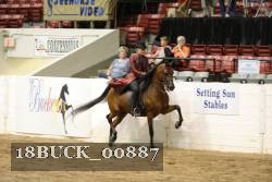 18BUCK_00887 proof