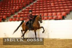 18BUCK_00888 proof