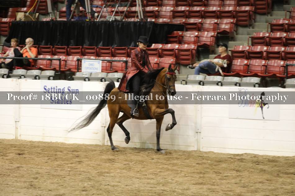 Proof 18BUCK_00889