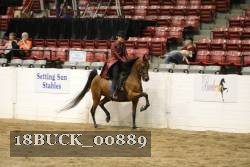 18BUCK_00889 proof