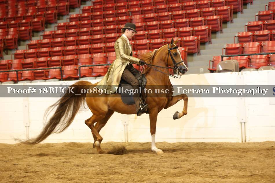 Proof 18BUCK_00891