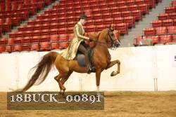 18BUCK_00891 proof