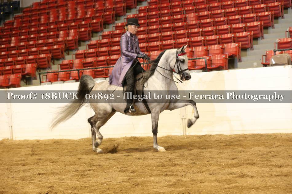 Proof 18BUCK_00892