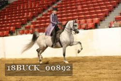 18BUCK_00892 proof