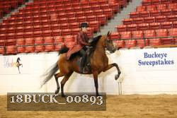 18BUCK_00893 proof