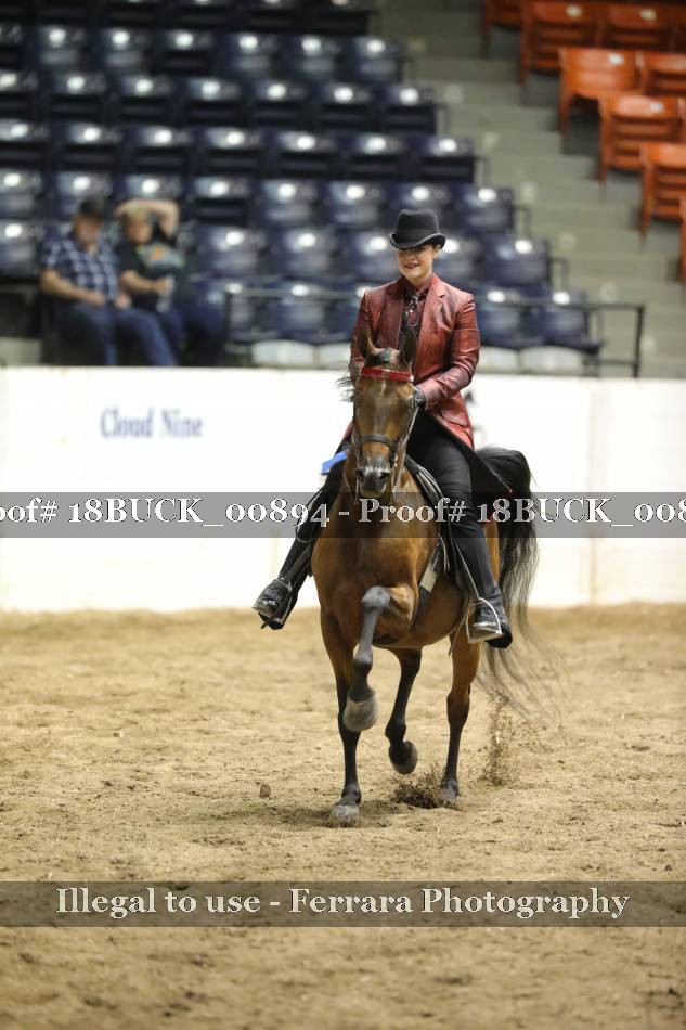 Proof 18BUCK_00894