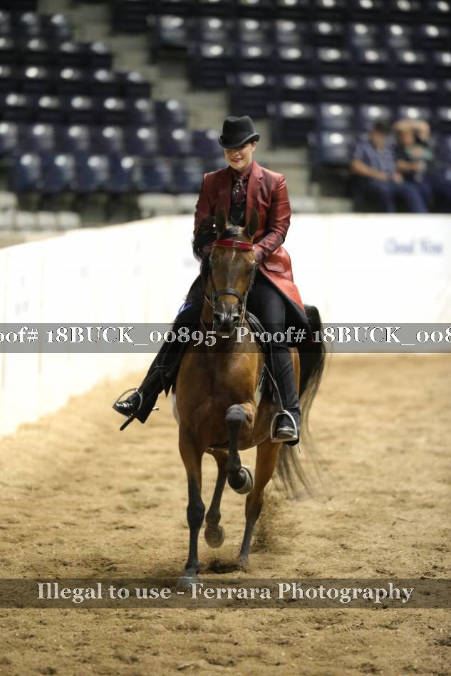 Proof 18BUCK_00895