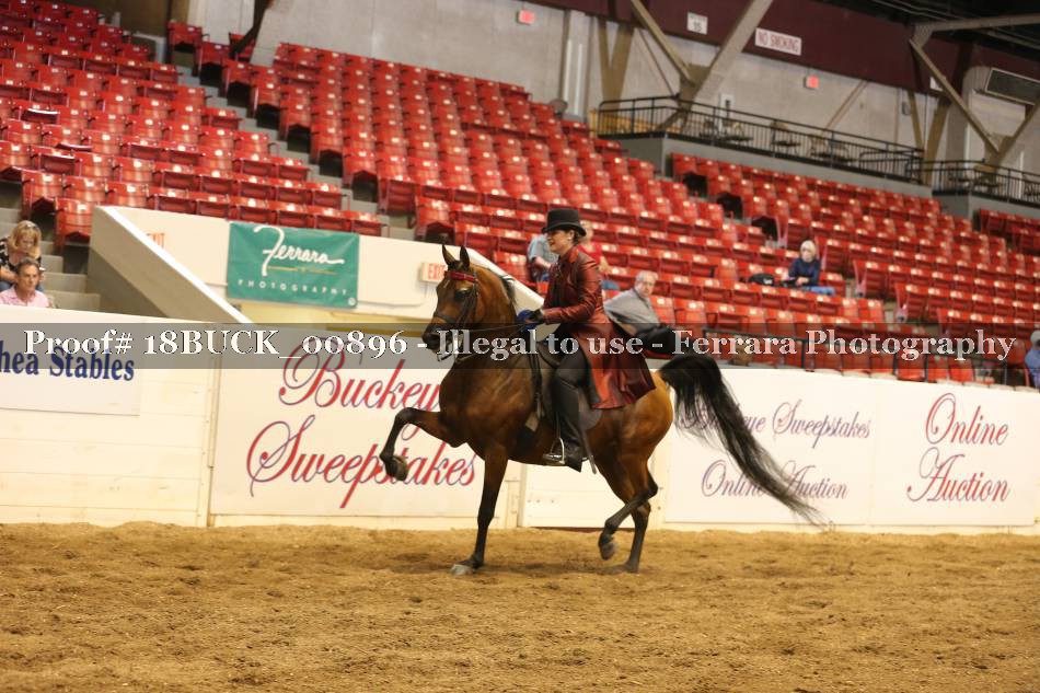 Proof 18BUCK_00896