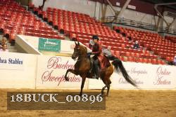 18BUCK_00896 proof