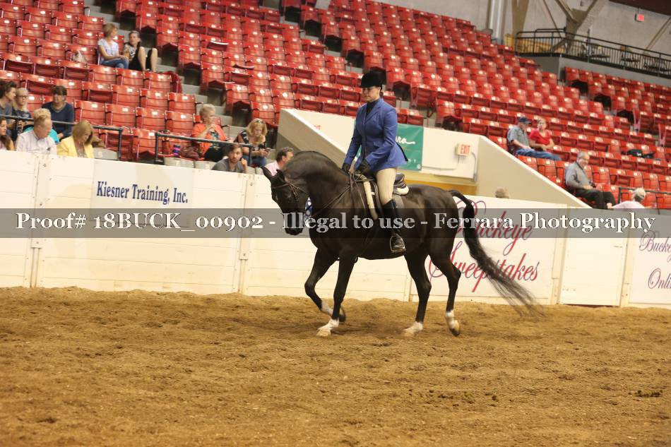 Proof 18BUCK_00902
