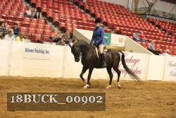 18BUCK_00902 proof