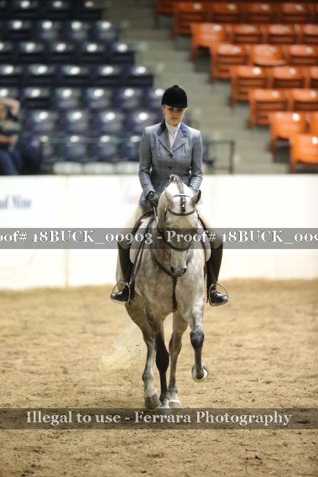Proof 18BUCK_00903
