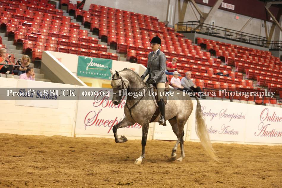 Proof 18BUCK_00904