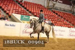 18BUCK_00904 proof