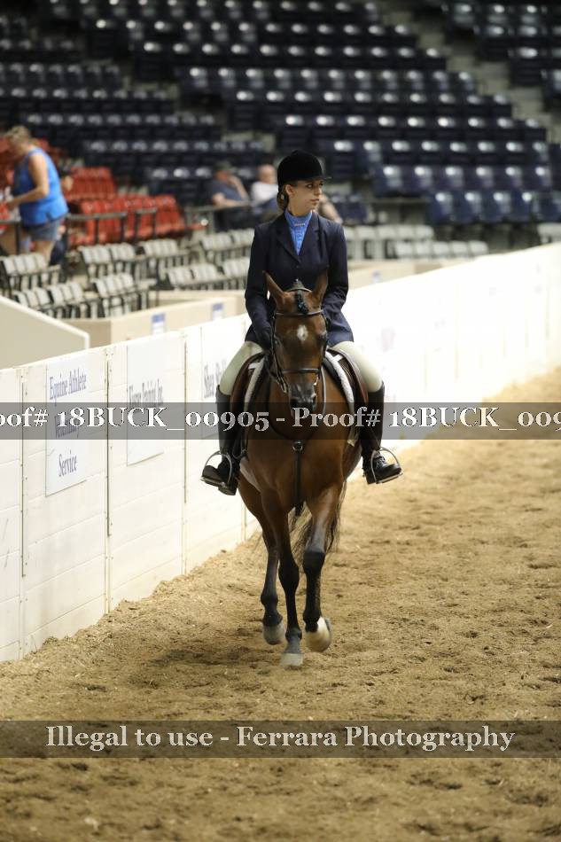 Proof 18BUCK_00905