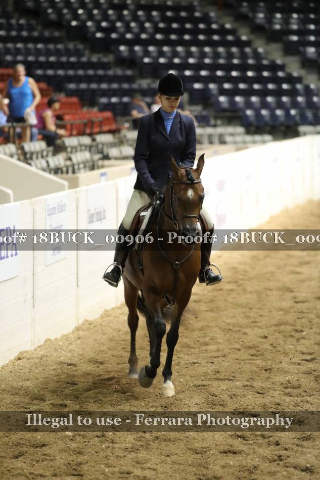Proof 18BUCK_00906