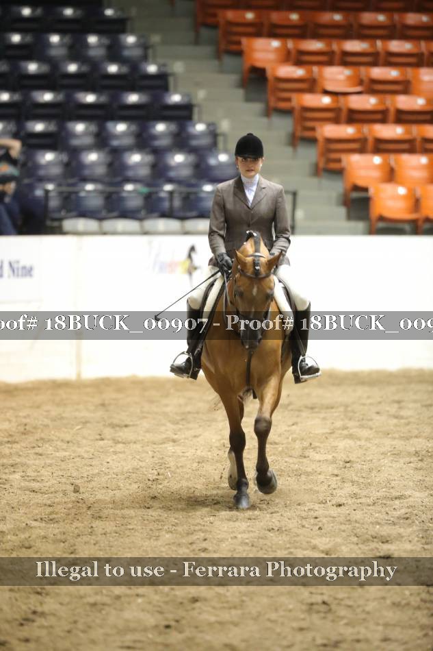Proof 18BUCK_00907