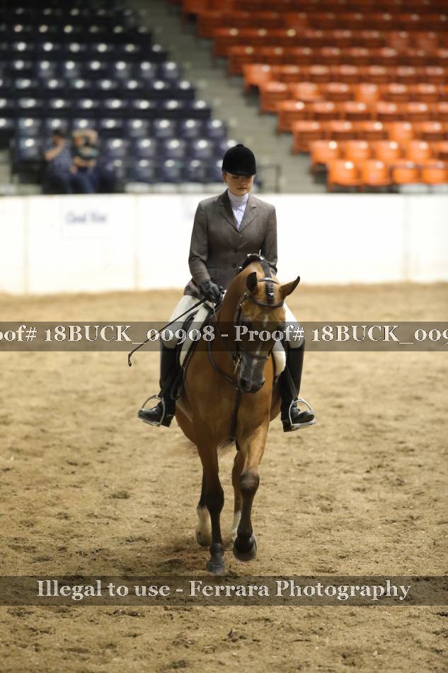 Proof 18BUCK_00908