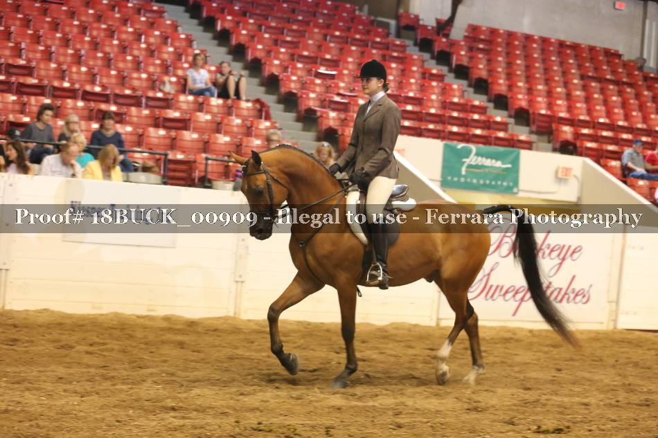 Proof 18BUCK_00909