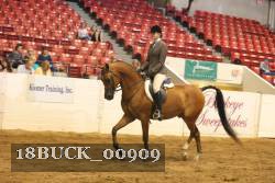 18BUCK_00909 proof