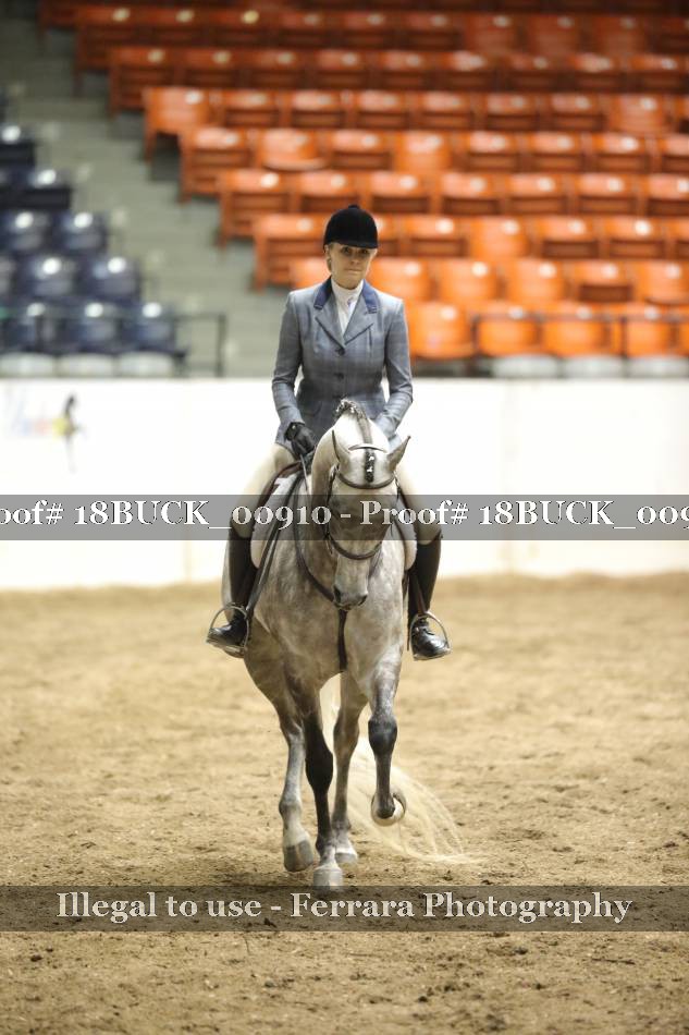 Proof 18BUCK_00910