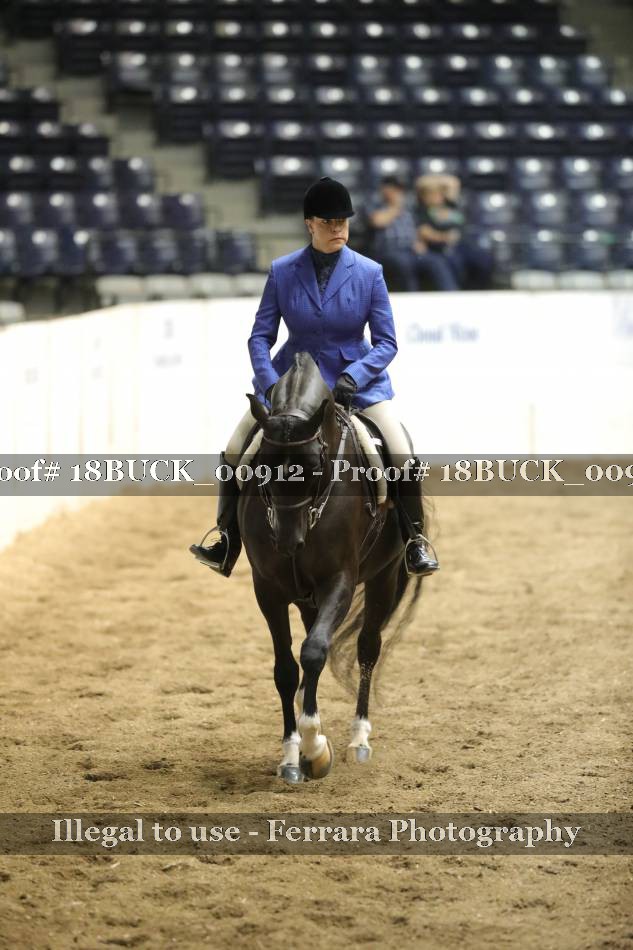 Proof 18BUCK_00912