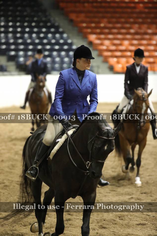Proof 18BUCK_00913