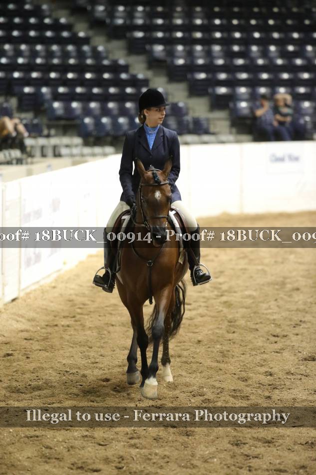 Proof 18BUCK_00914