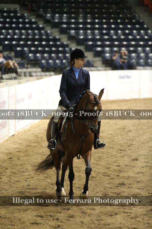 Proof 18BUCK_00915