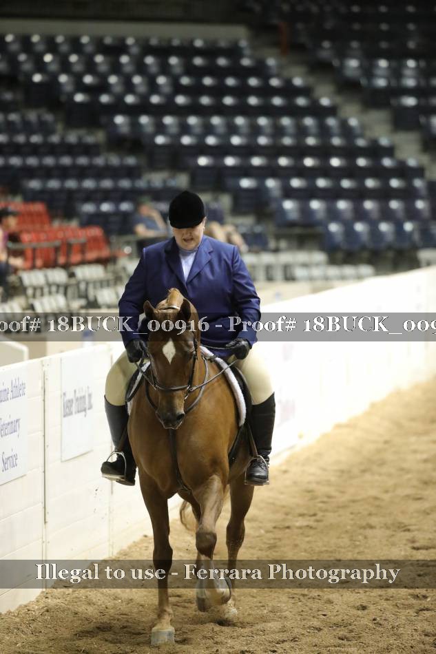 Proof 18BUCK_00916