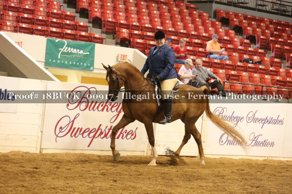 Proof 18BUCK_00917