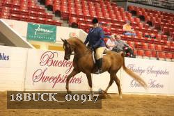 18BUCK_00917 proof