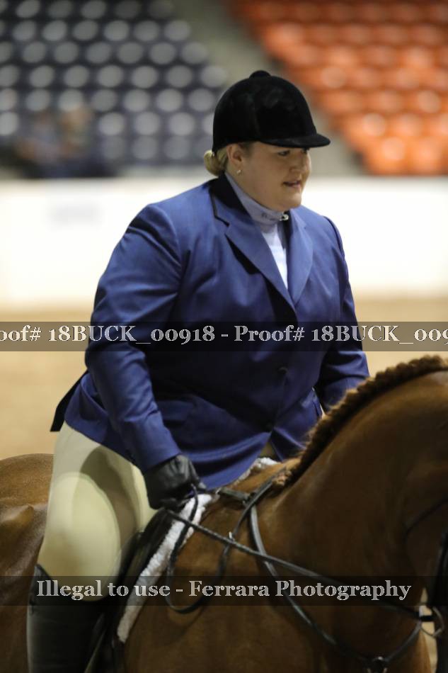 Proof 18BUCK_00918