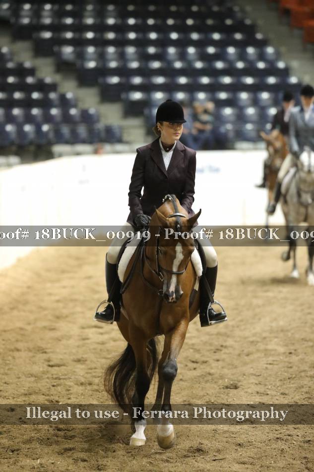 Proof 18BUCK_00919