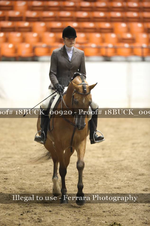 Proof 18BUCK_00920
