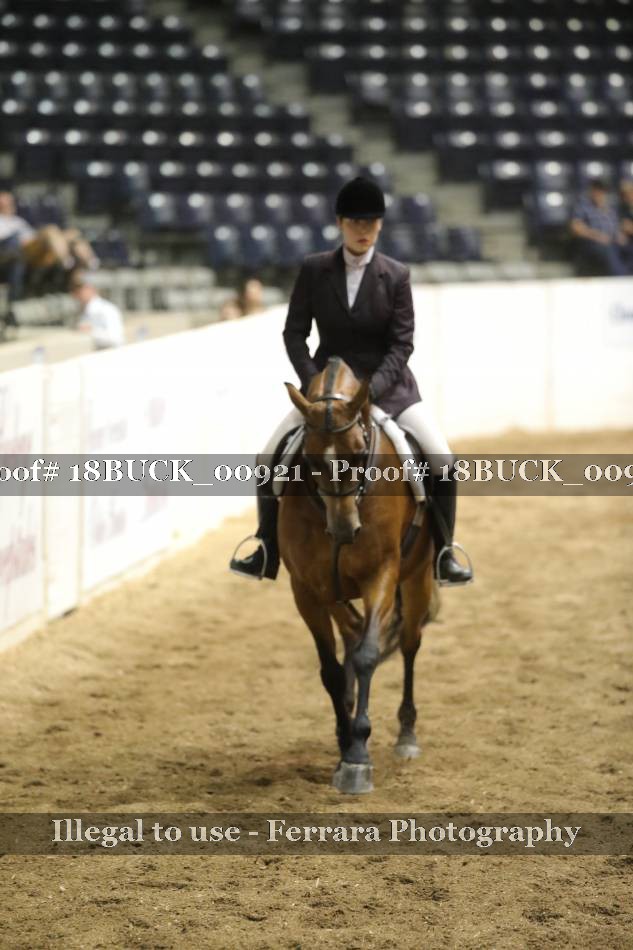 Proof 18BUCK_00921