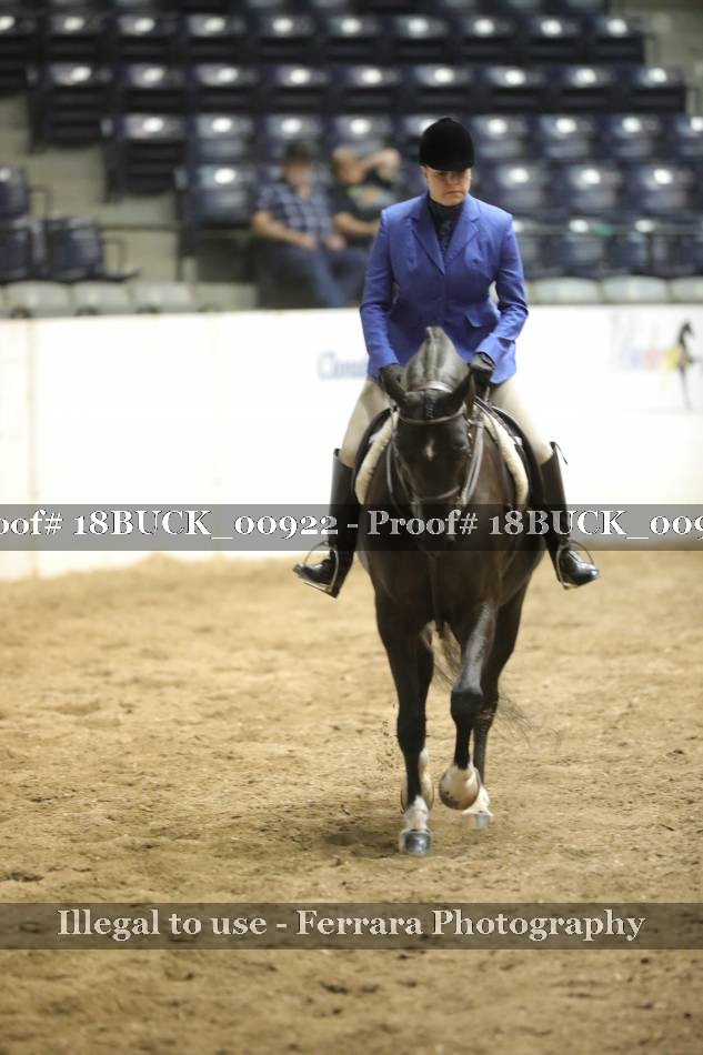 Proof 18BUCK_00922