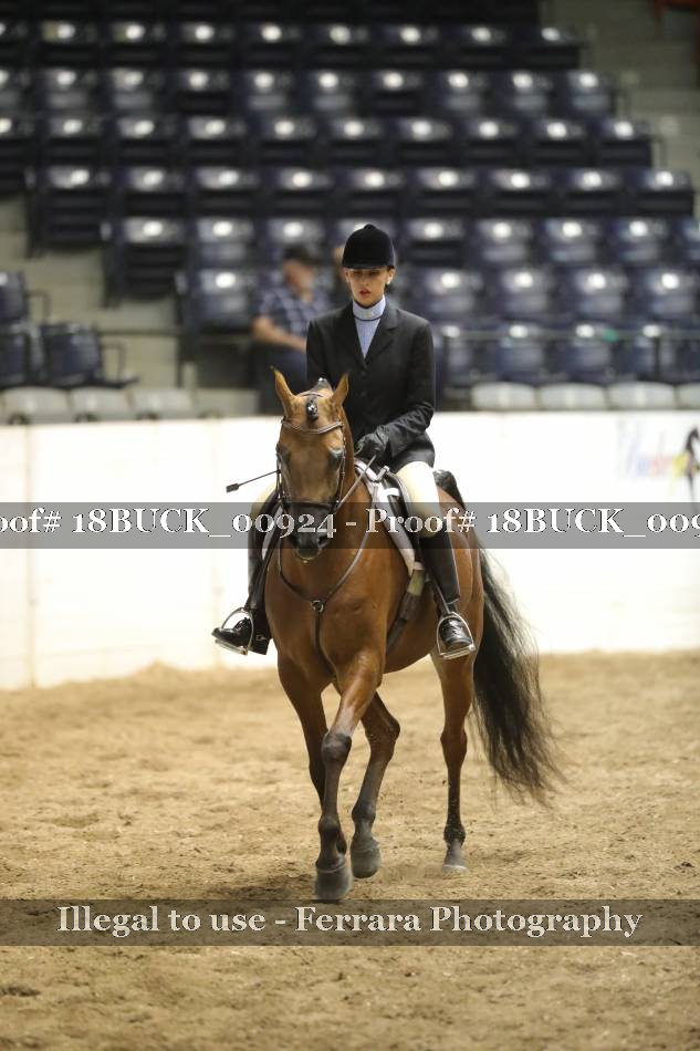 Proof 18BUCK_00924