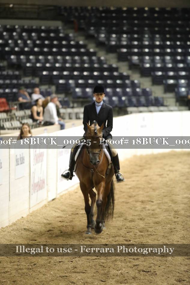 Proof 18BUCK_00925